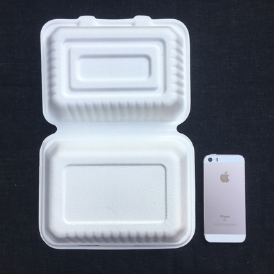 長方形Biodegradable 600ml Disposable Bento Lunch Box Sugarcane Pulp
