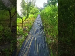 紫外線高透率のPP 黒と緑の雑草対策マット