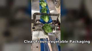 食品グレードの野菜用防曇BOPP包装フィルム