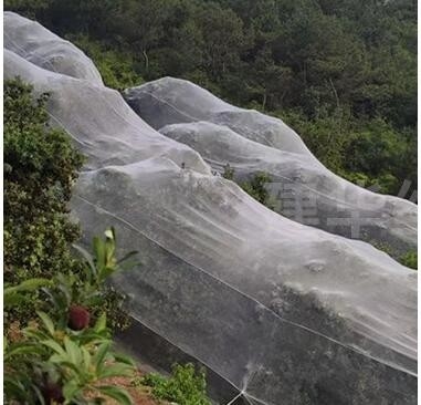 プラスチック製の鳥防網 PE拡大型 濃縮型温室用 農業繁殖網 ぶどう園 虫防網