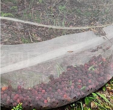 プラスチック製の鳥防網 PE拡大型 濃縮型温室用 農業繁殖網 ぶどう園 虫防網