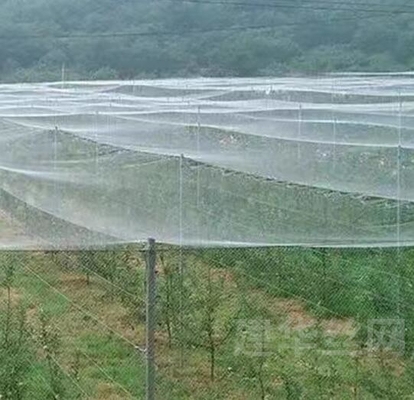 良い鳥 昆虫 防災 防水 防水 防水 防水 防水 防水 防水 防水 防水 防水 防水 防水 防水