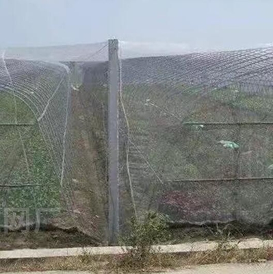 良い鳥 昆虫 防災 防水 防水 防水 防水 防水 防水 防水 防水 防水 防水 防水 防水 防水