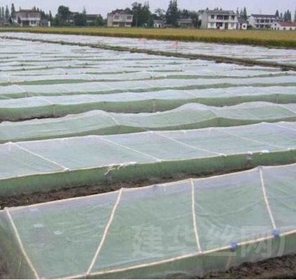 緑色 オーダーメイド 虫 虫 保護 果樹 野菜 菜園 家 工場