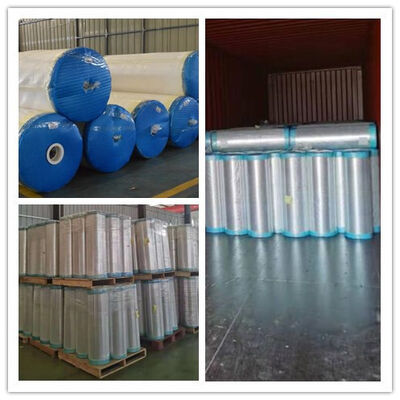 Exporting Southeast Asia 20mic metalized soft cpp for candy cholocate packaging