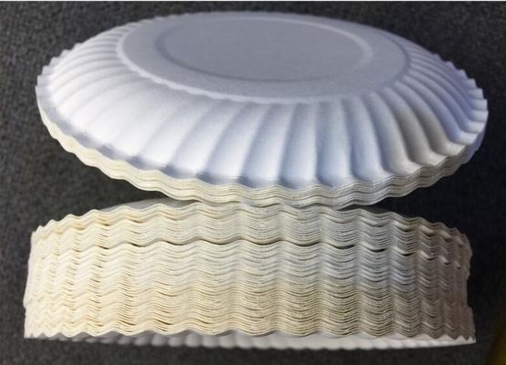 14.5X14.5CM PLAの使い捨て可能なハンドメイドの円形の白いケーキの紙皿